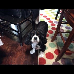 Meet your Posher, Melissa